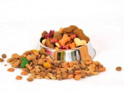 alimentation-pour-chien.jpg