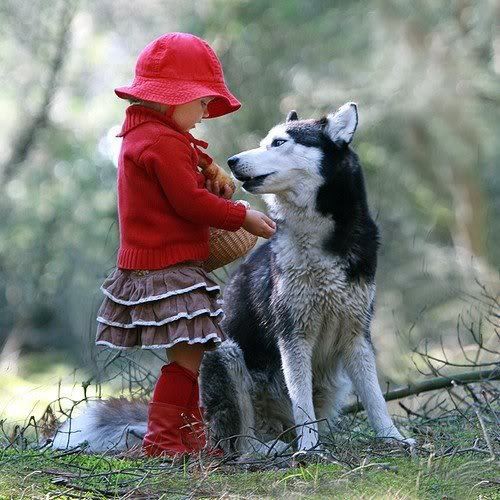 le petit chaperon rouge a trouvé un complice