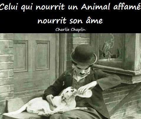 Celui qui nourrit un animal, nourrit son âme