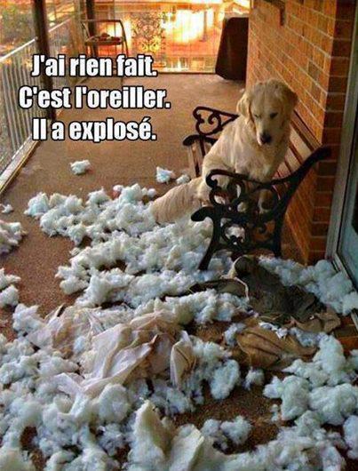 oups !!!!!