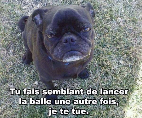 lance la balle