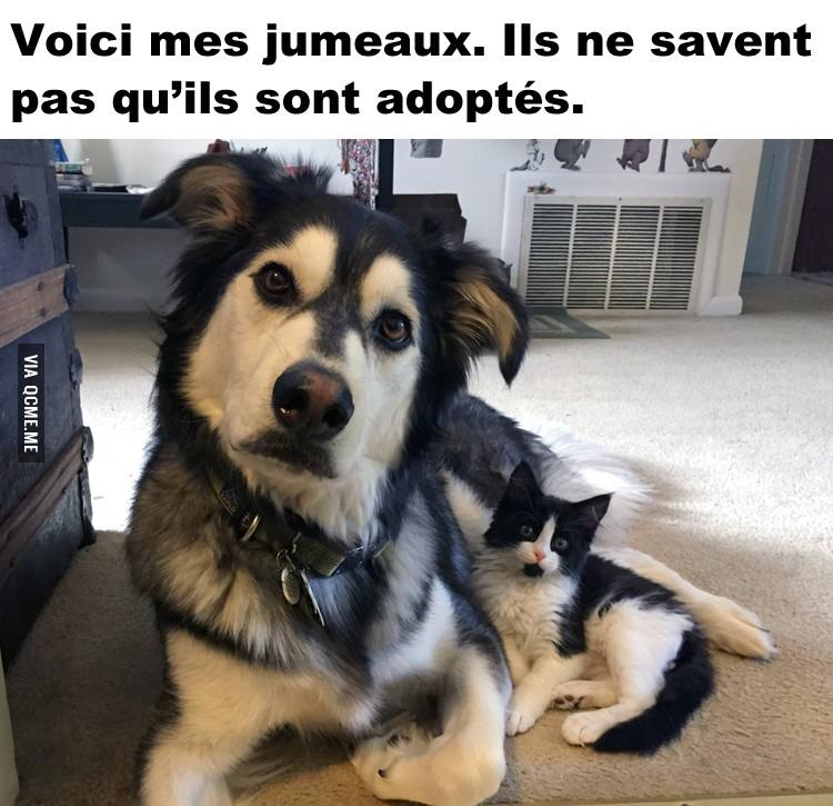 et oui ! nous sommes jumeaux