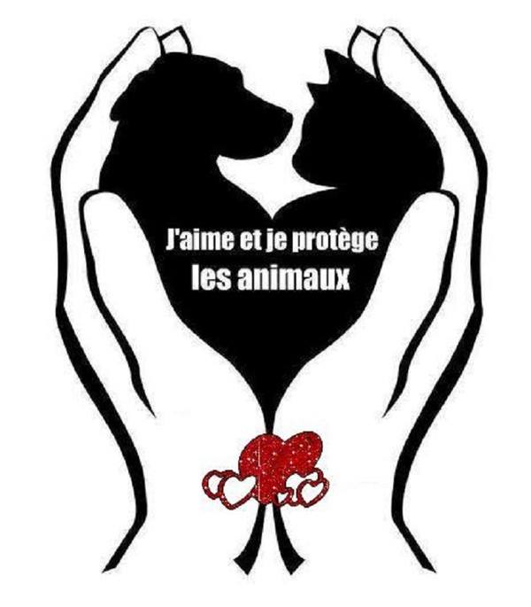 j'aime les animaux