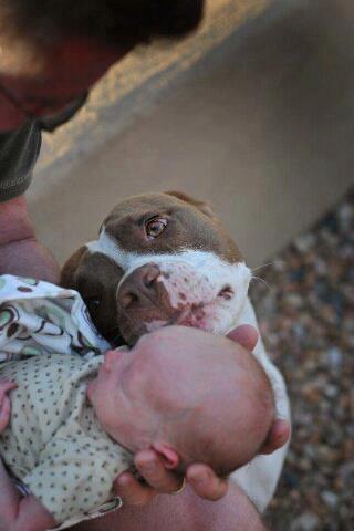 beau moment de tendresse