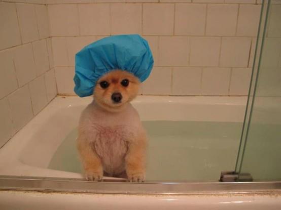 au bain !