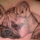 tatouage de bouledogue Français