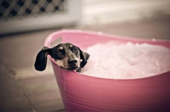 un bon bain pour se détendre 