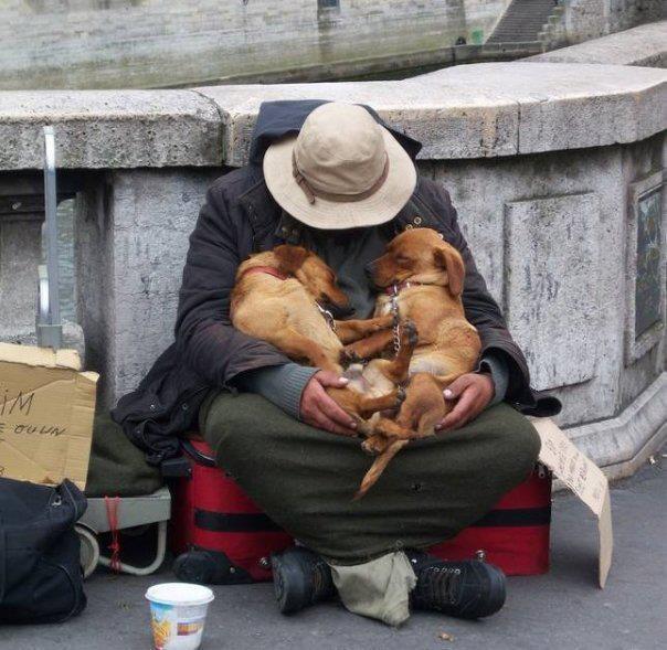 l'affection et l'amour n'a pas de prix