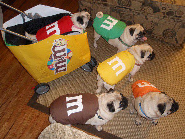 m&m's