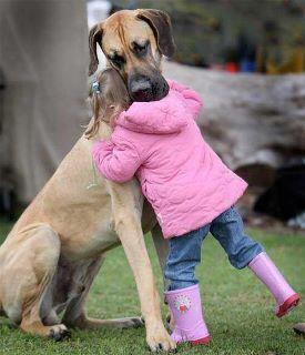 Tendre câlin 