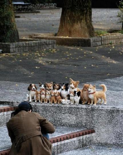 photo de famille