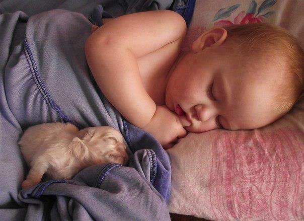 baby and puppy boom !