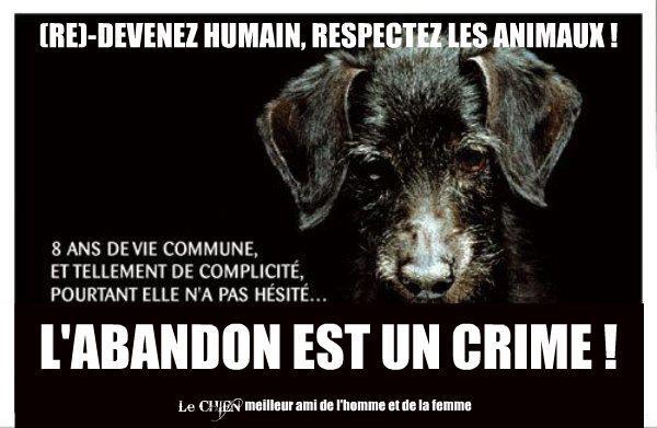 l'abandon est un crime