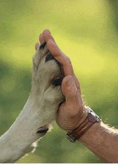 tous pour un, un pour tous !