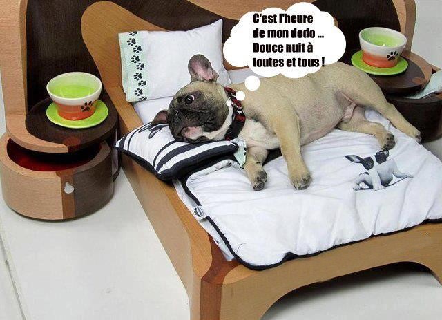 bonne nuit les petits !