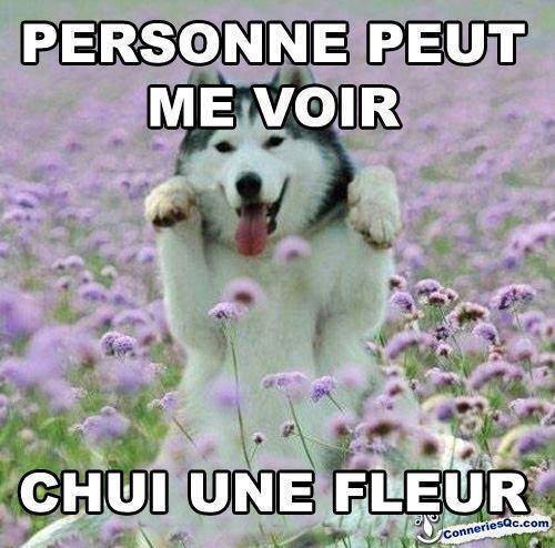 Chui une fleur !