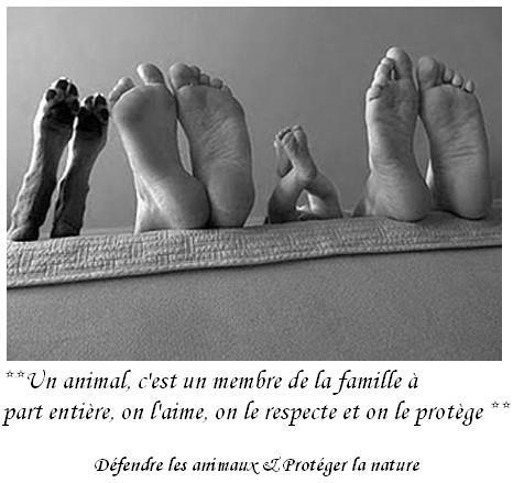 la famille au complet