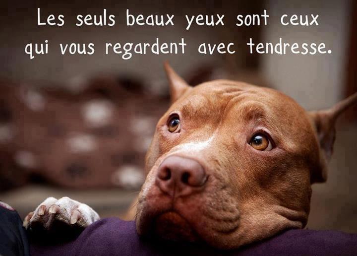 la tendresse..........;