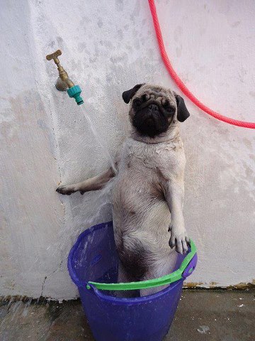 et bien !une petite douche ça fait du bien :