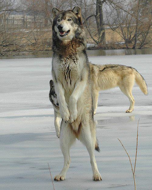 et oh ! je suis là !!!