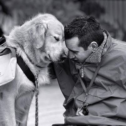  L' Amour.....le vrai !