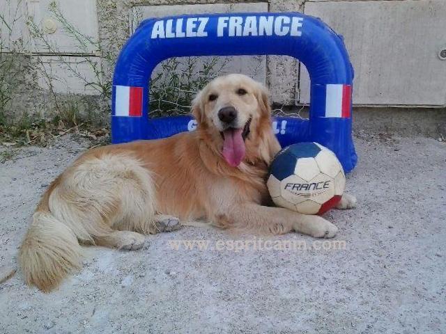 enzo new recrue pour l'équipe de France