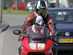 motard toutou