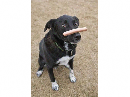 je suis fort ! mais faut pas abuser !