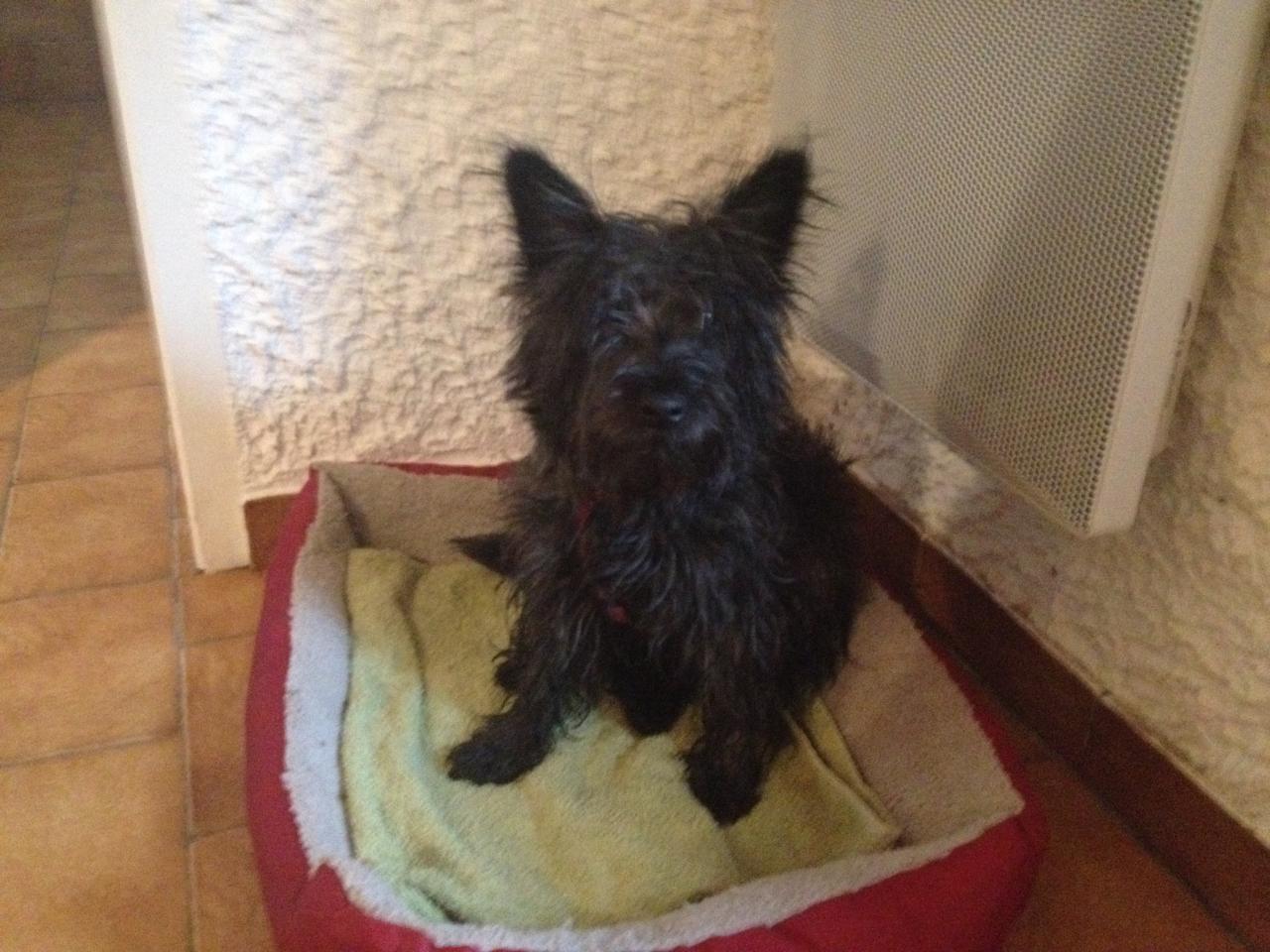 Louna, cairn de 17 mois