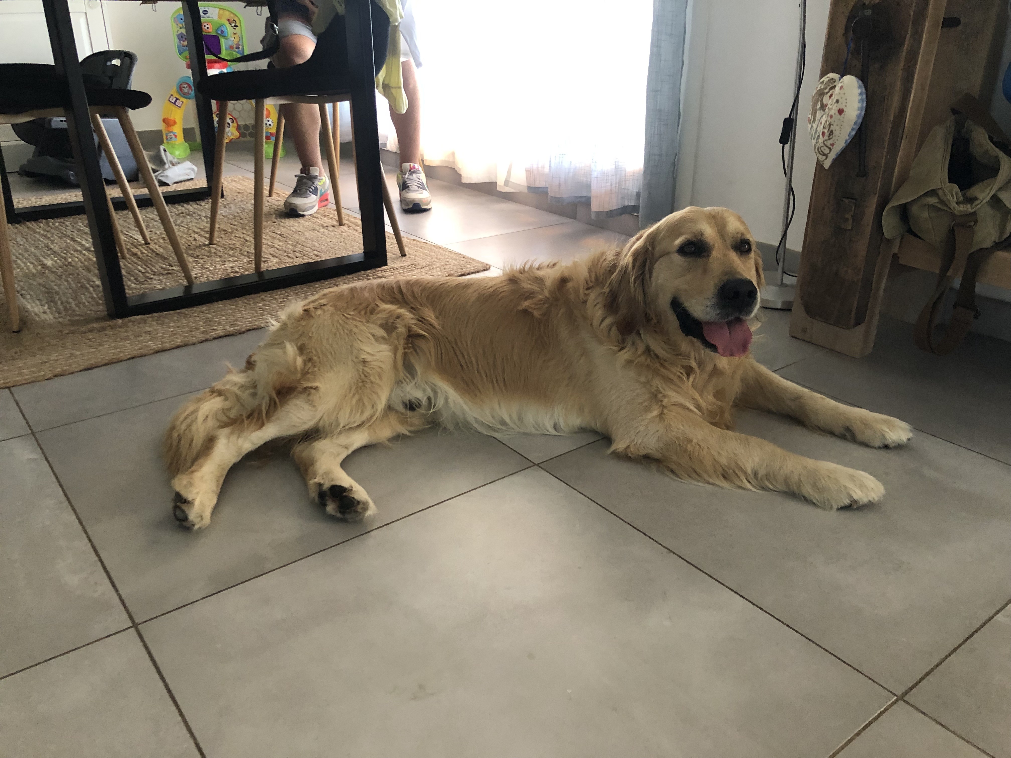 Need, golden 6 ans
