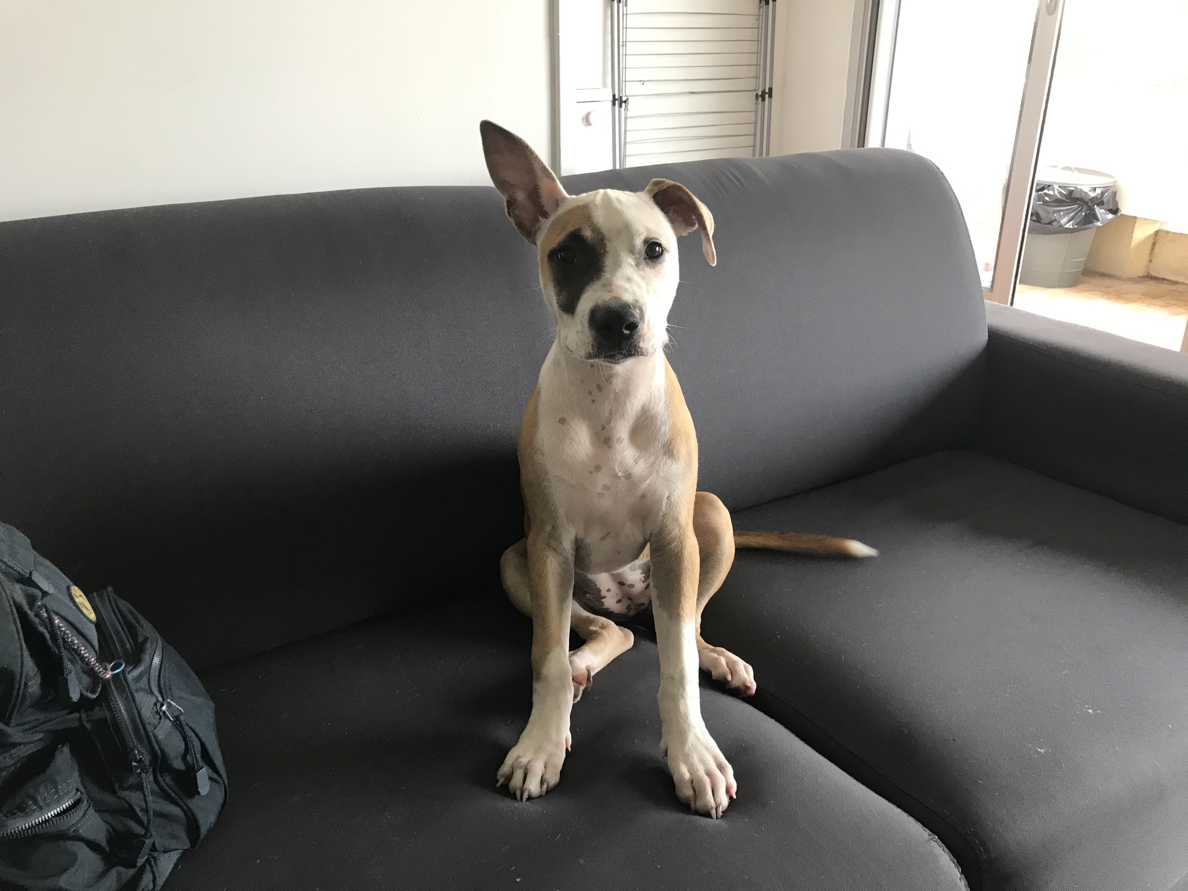 Rhéa, staff de 5 mois
