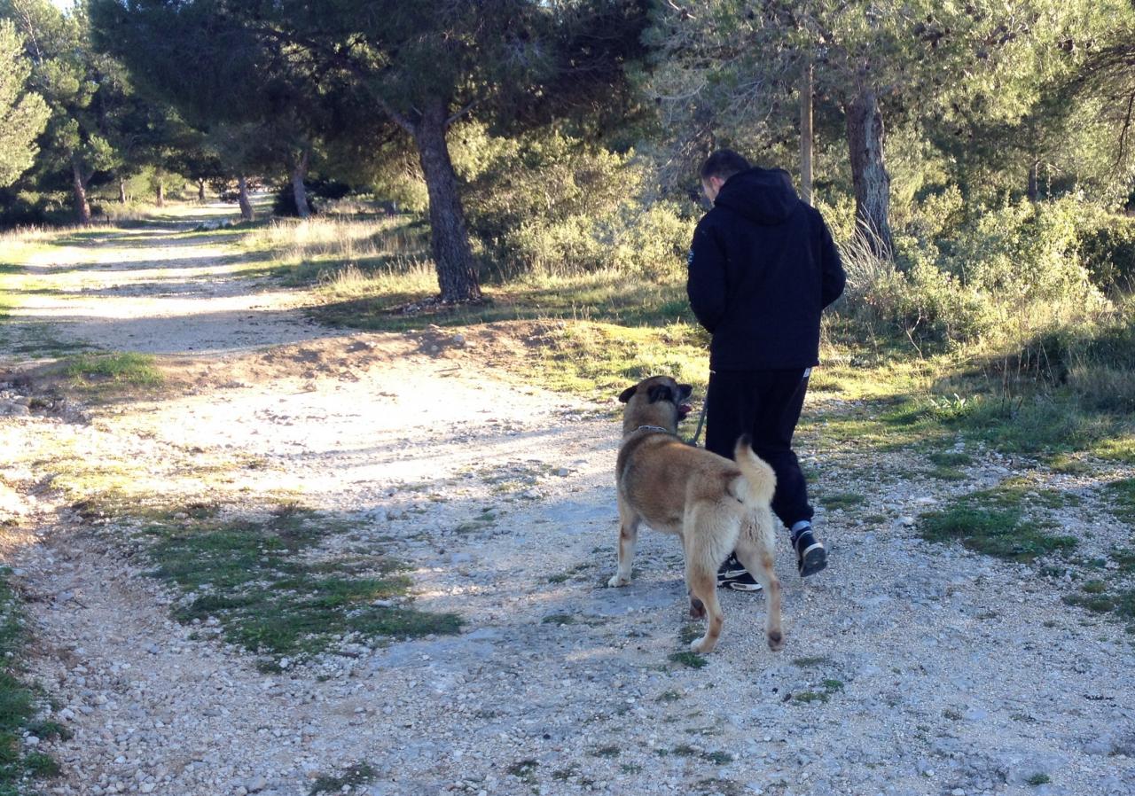 Marche aux pieds avec junior dans la colline 