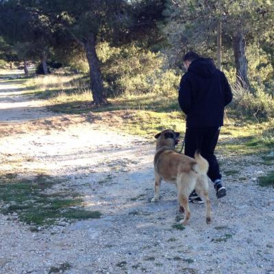 Marche aux pieds avec junior dans la colline 