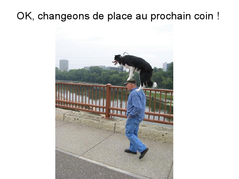 Quand le chien et le maître font qu'un !