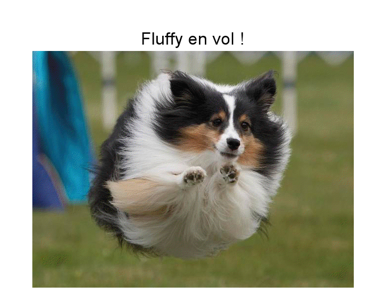 Fluffy s'envole