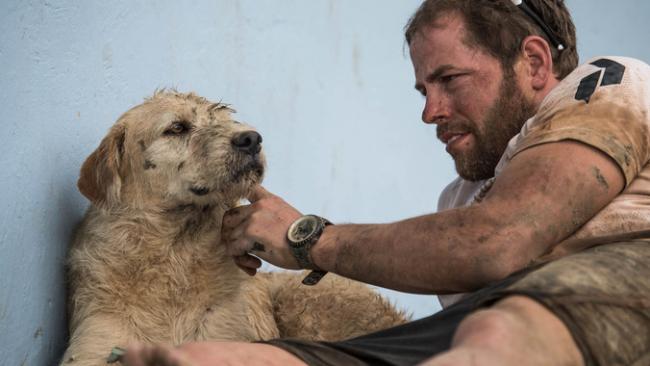 Arthur, un chien errant devenu le co-équipier d'une équipe d'athlètes