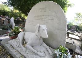 Le dernier refuge des animaux