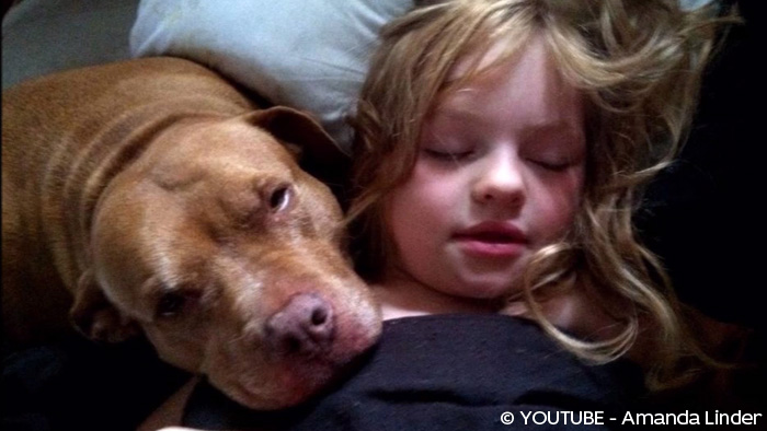 une fille autiste de 6 ans et son pit bull