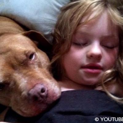 une fille autiste de 6 ans et son pit bull