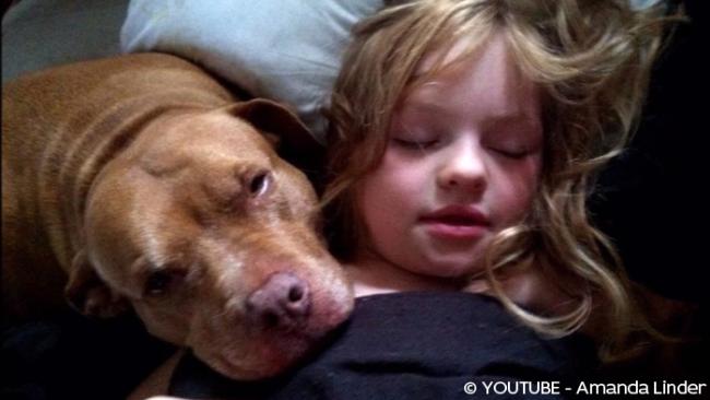 l’amitié entre une fille autiste de 6 ans et son Pit Bull